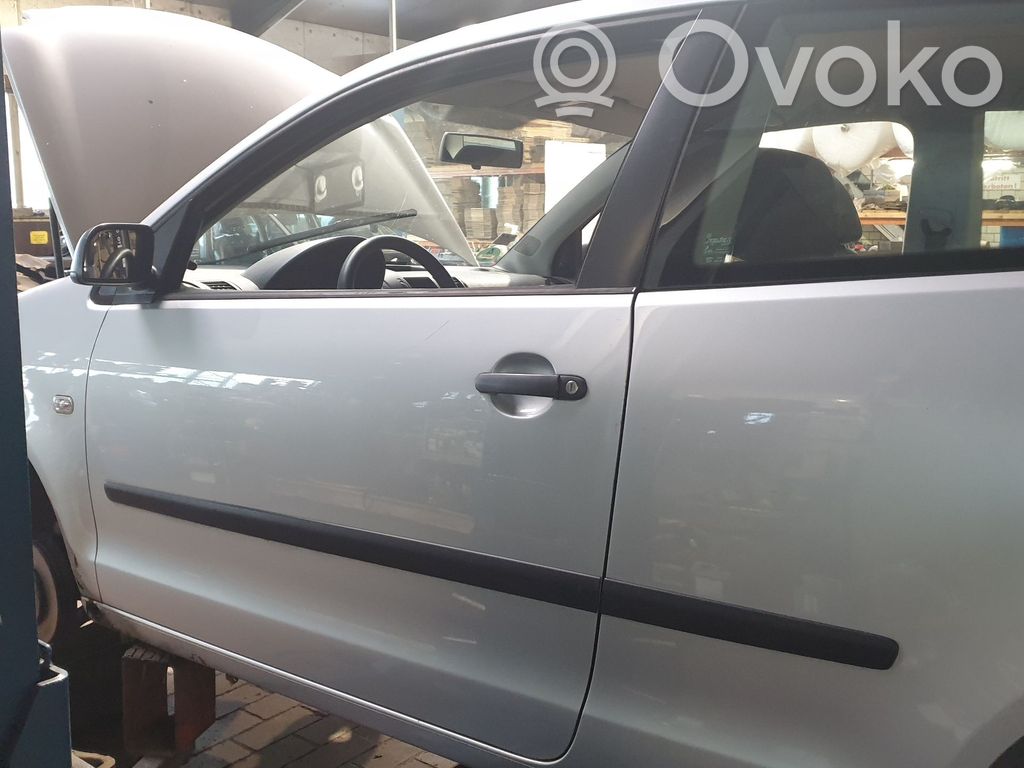 Volkswagen Polo IV 9N3 Tür vorne 