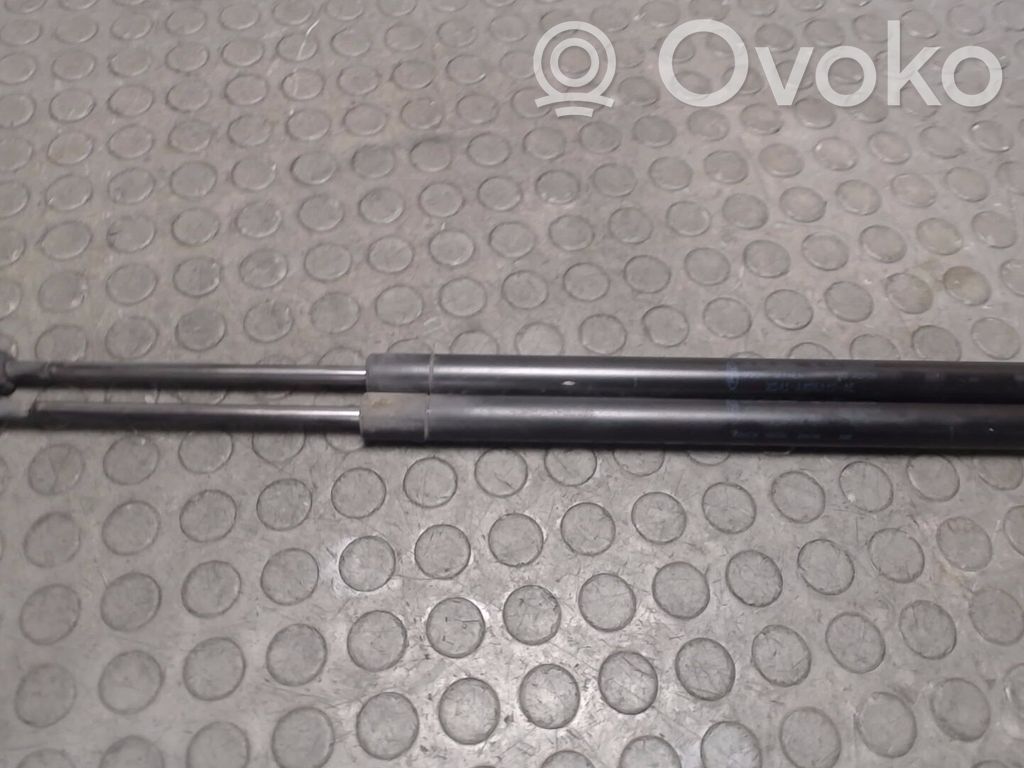 Ford Focus Tailgate/trunk strut/damper 