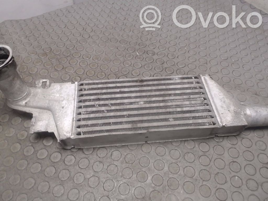 Wąż / Rura intercoolera   93177425,01300410