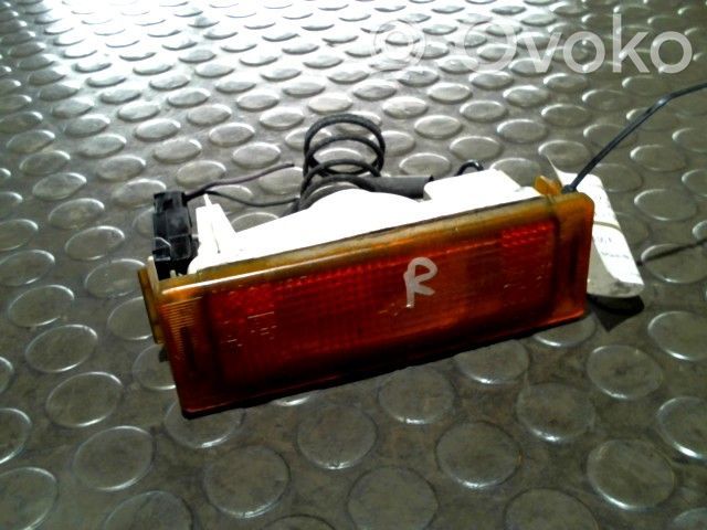 Front fender indicator light