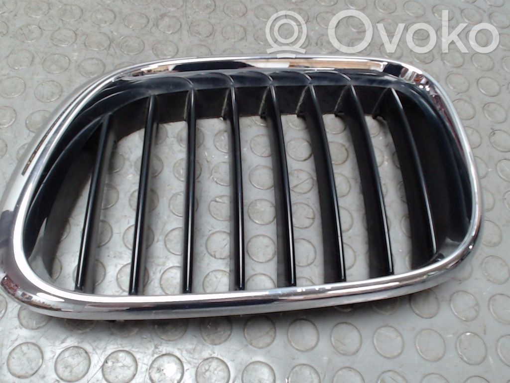 BMW X5 E53 Front grill 