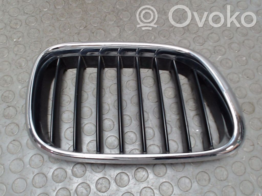 BMW X5 E53 Griglia anteriore 