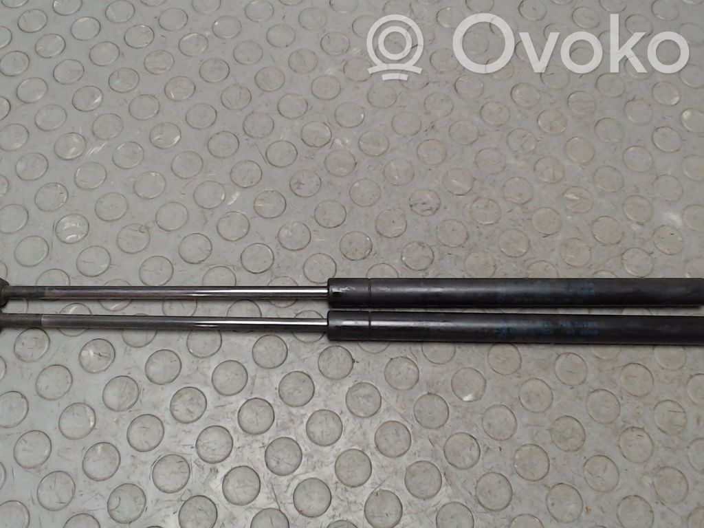 Tailgate/trunk strut/damper