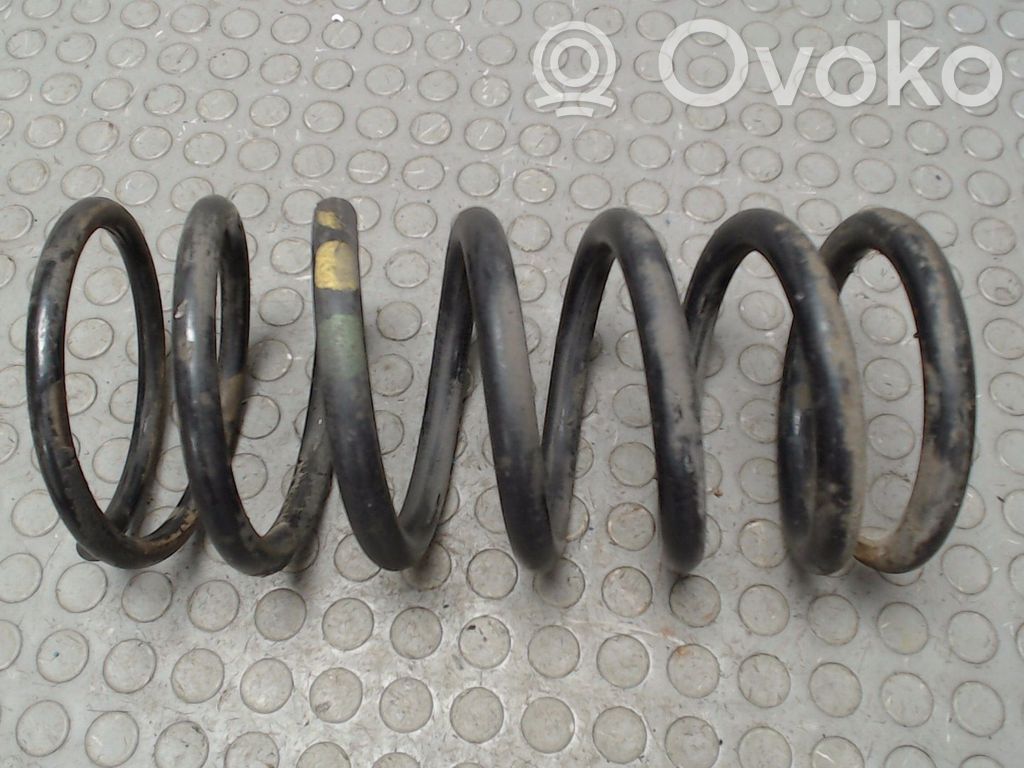Rear coil spring