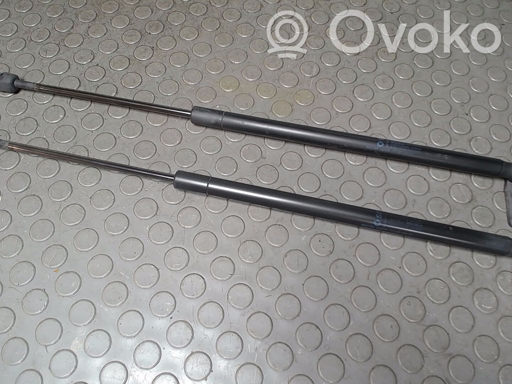 Smart ForFour I Tailgate/trunk strut/damper 
