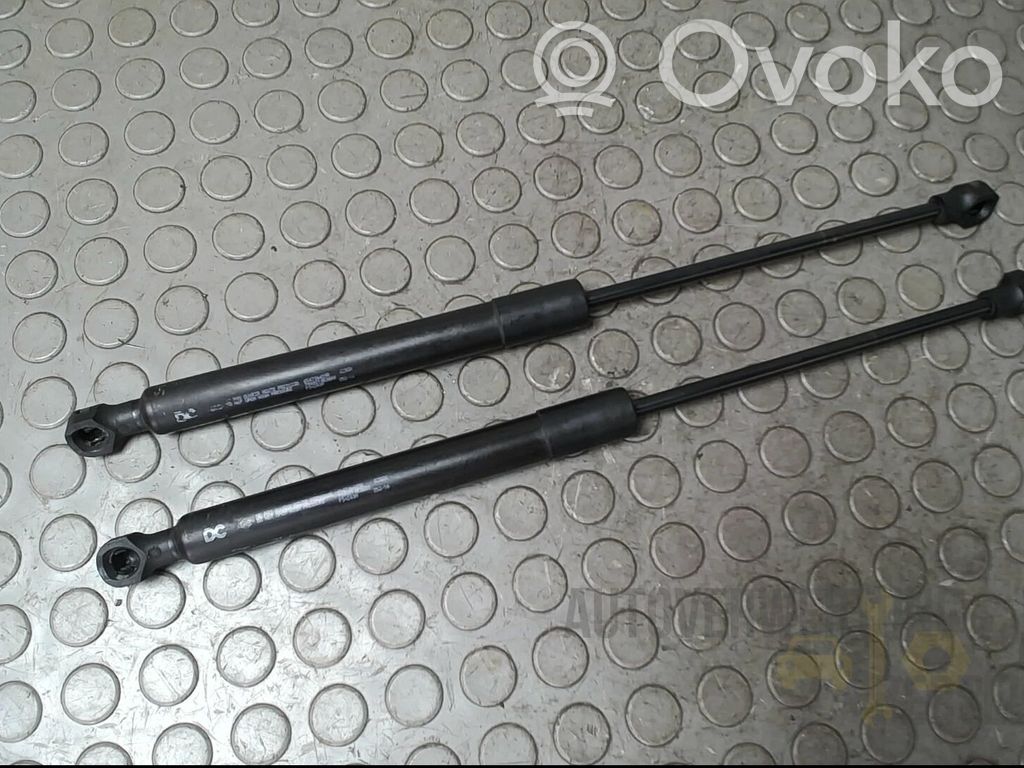 Renault Kangoo II Ammortizzatore portellone anteriore/cofano