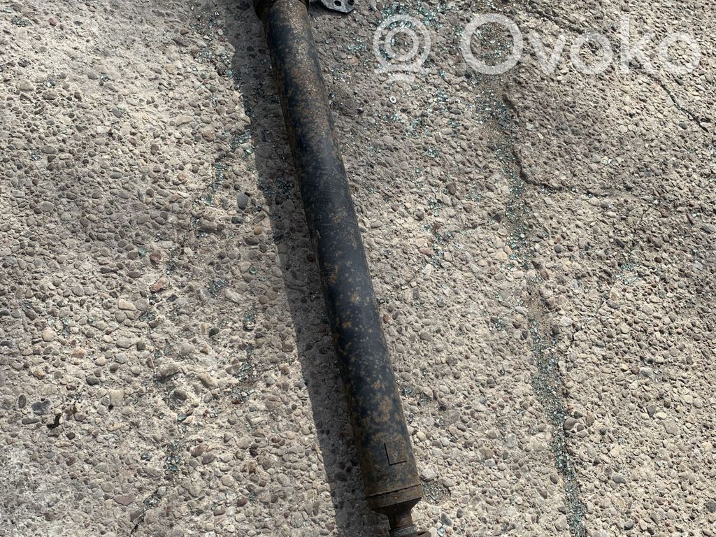 Drive shaft (set)
