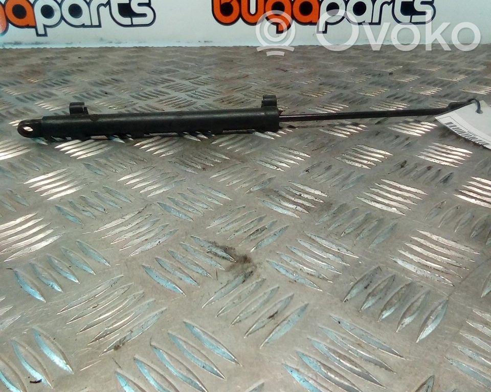 Front bonnet/hood damper/strut   E364FK