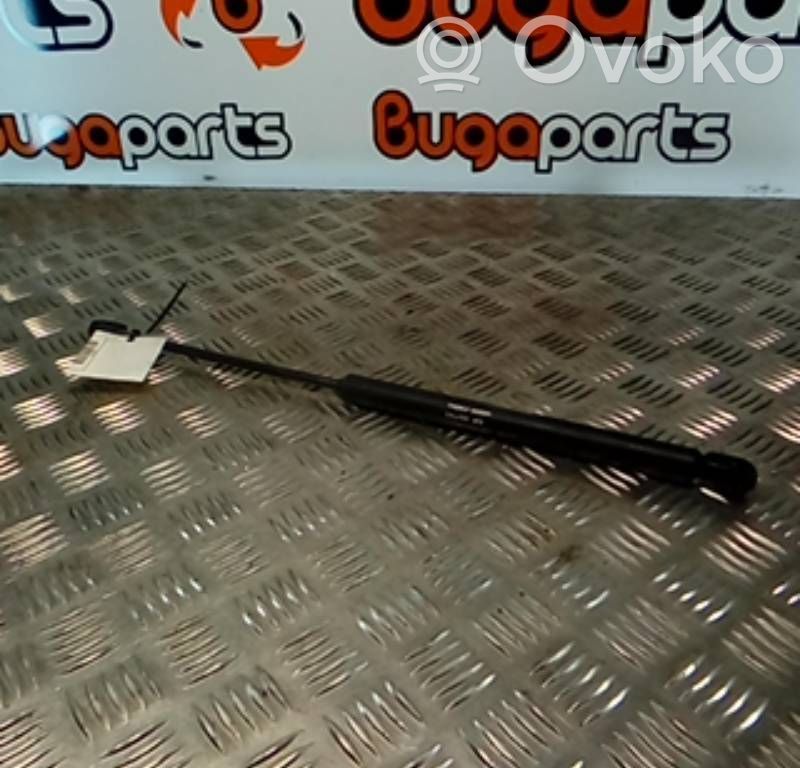 Tailgate/trunk strut/damper