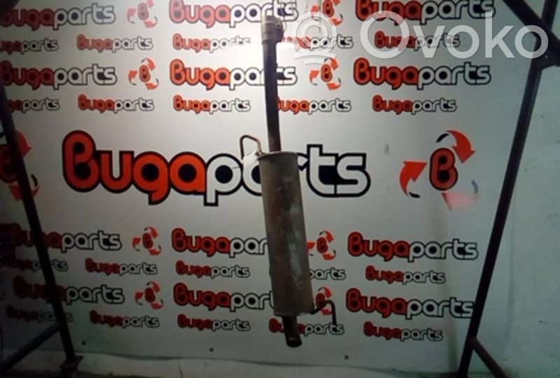 Duslintuvas   55702049
