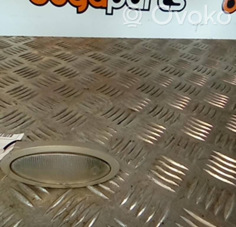 Headlining lighting console trim   717680000,08839010