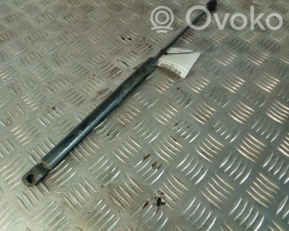 Tailgate/trunk strut/damper   4853AC