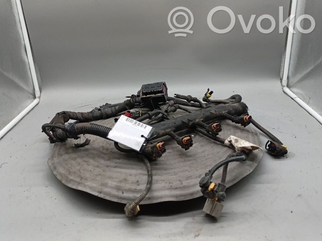 Engine installation wiring loom   00551976880,M03200871