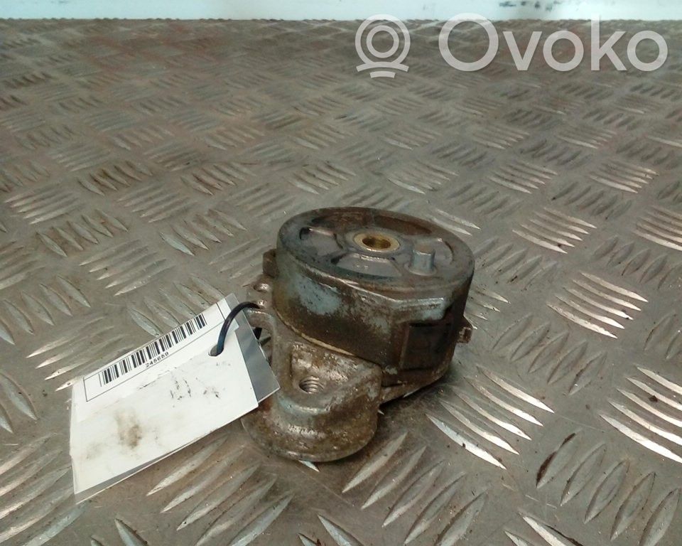 Tensor de correa del alternador   DAYCO