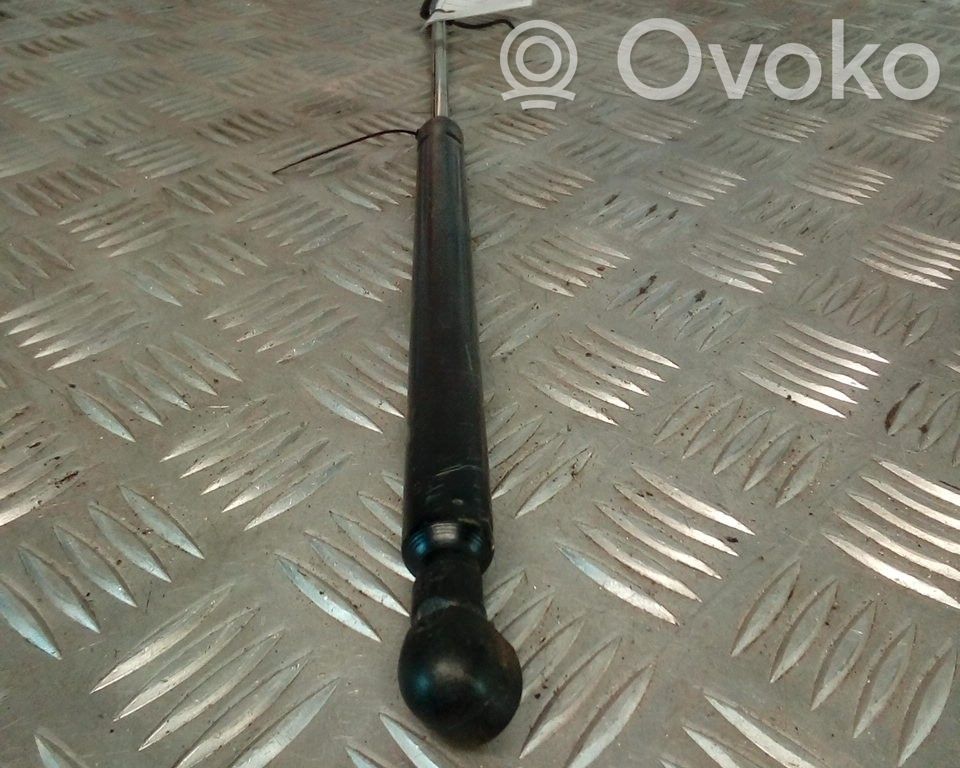 Tailgate/trunk strut/damper