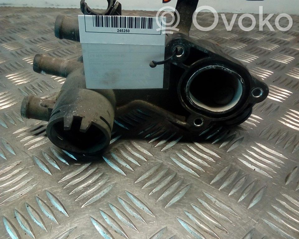 Seat Cordoba (6K) Termostat/carcasă termostat 