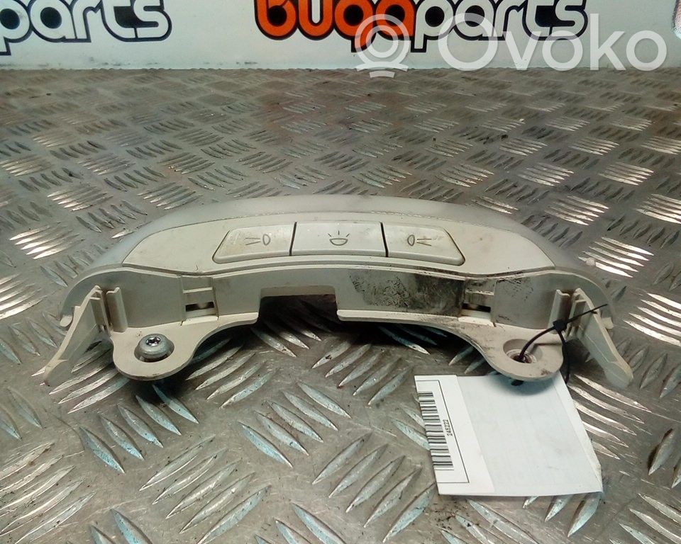 Headlining lighting console trim   73531426,08860000