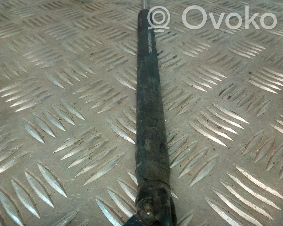 Tailgate/trunk strut/damper   46784590
