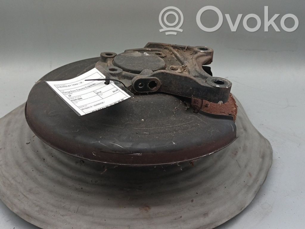 Chevrolet Trax Rear wheel hub spindle/knuckle 