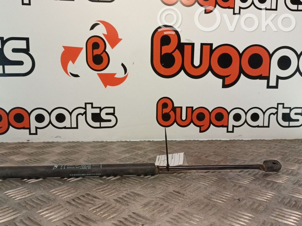 Fiat Idea Amortizatorius galinio dangčio 