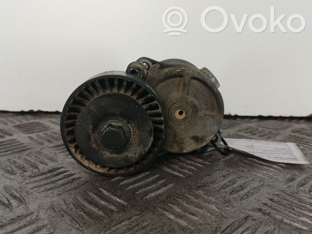 Diržo įtempėjas   BMWE4616I,MOTOR194E1,TRAPEZOIDAL