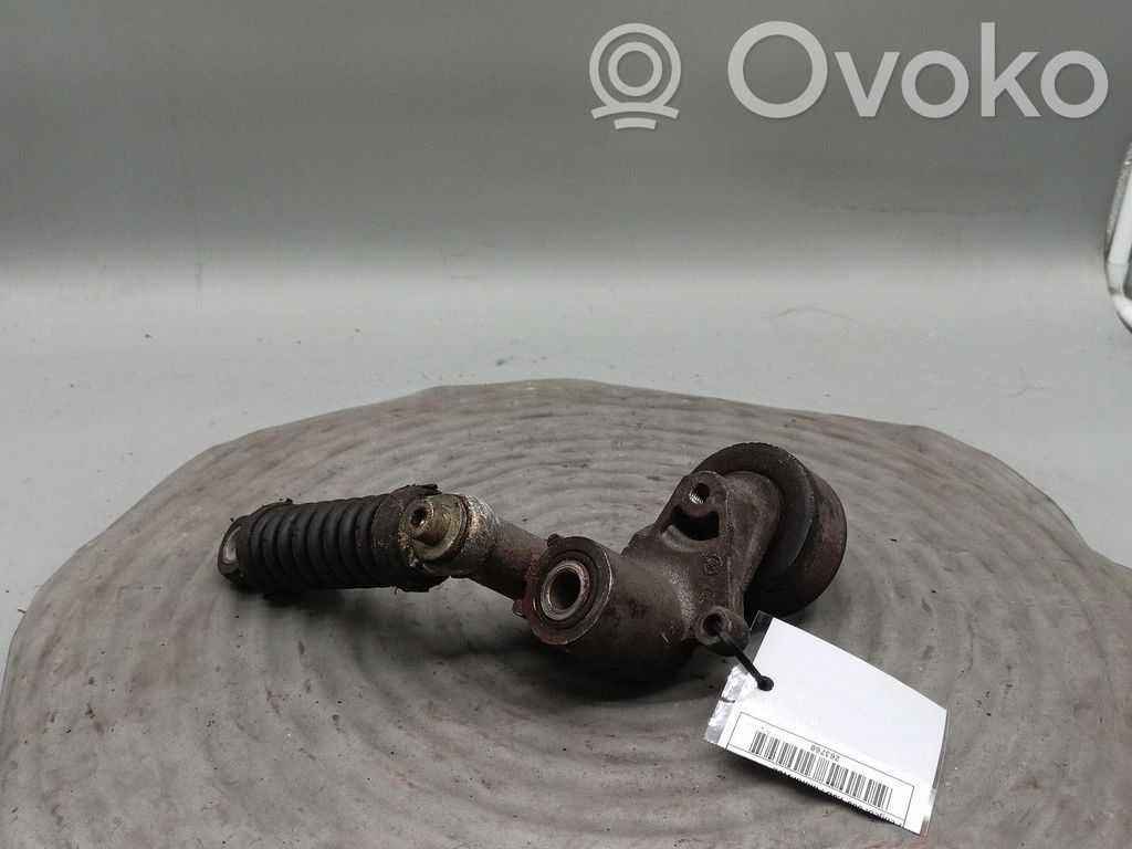 Peugeot 306 Napinacz paska alternatora 