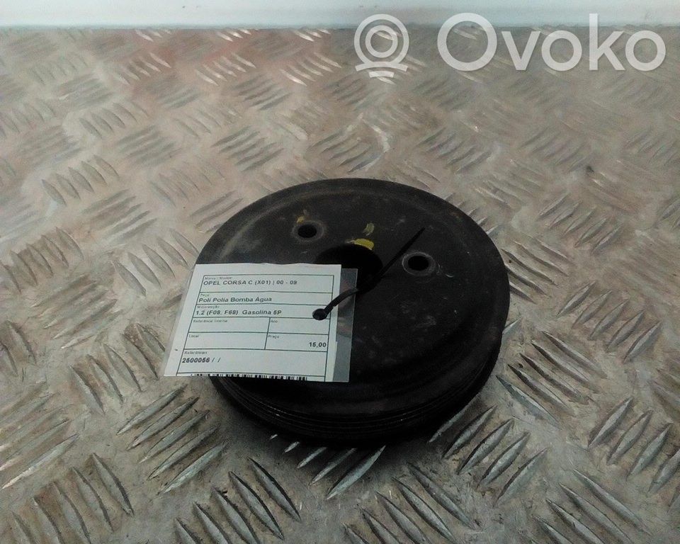 Water pump   2500056