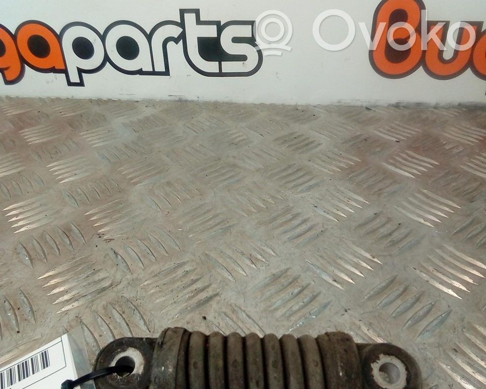 Peugeot 206 Diržo įtempėjas 