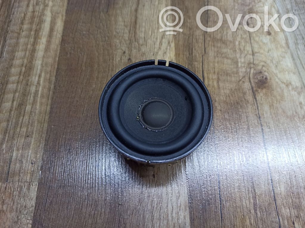 Panel speaker   6513693865701