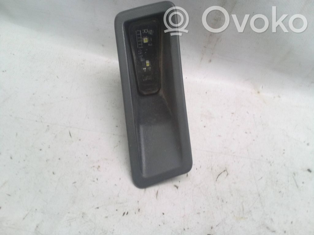 Dodge RAM Numerio apšvietimas 