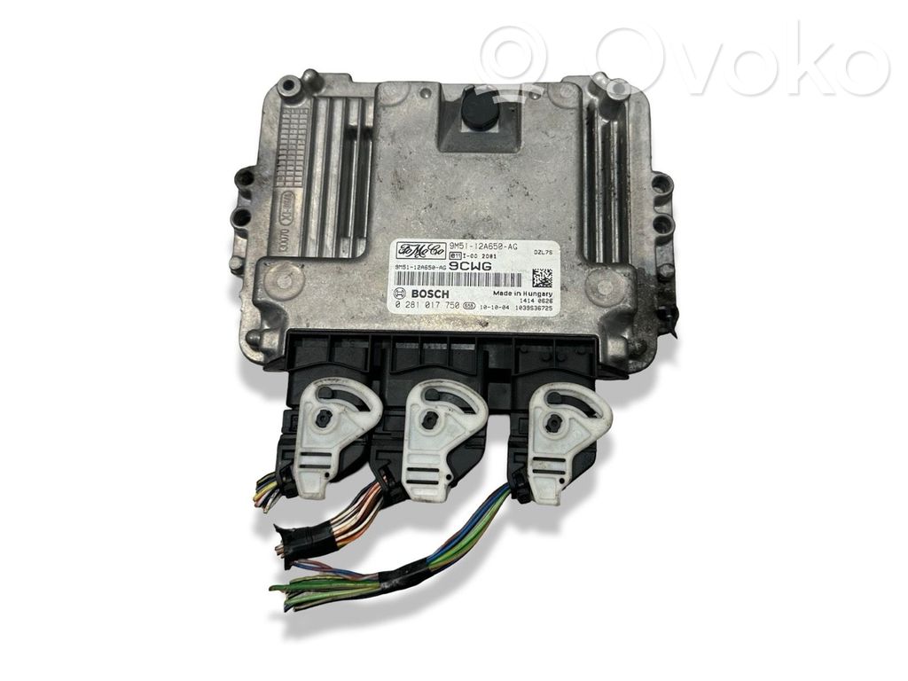 Ford Focus Engine control unit/module 
