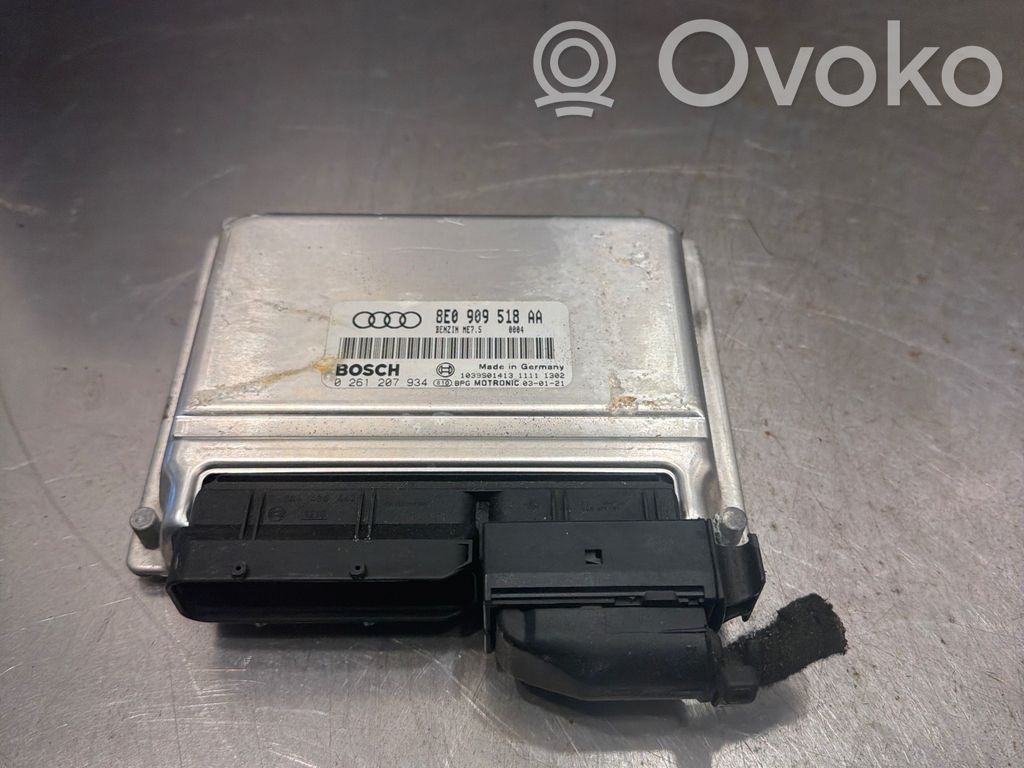 Audi A4 S4 B6 8E 8H Engine control unit/module 