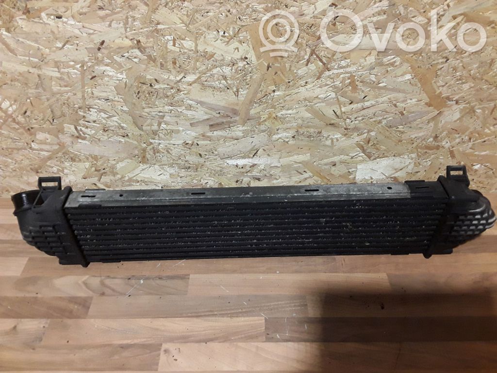 Interkūlerio radiatorius   880291U