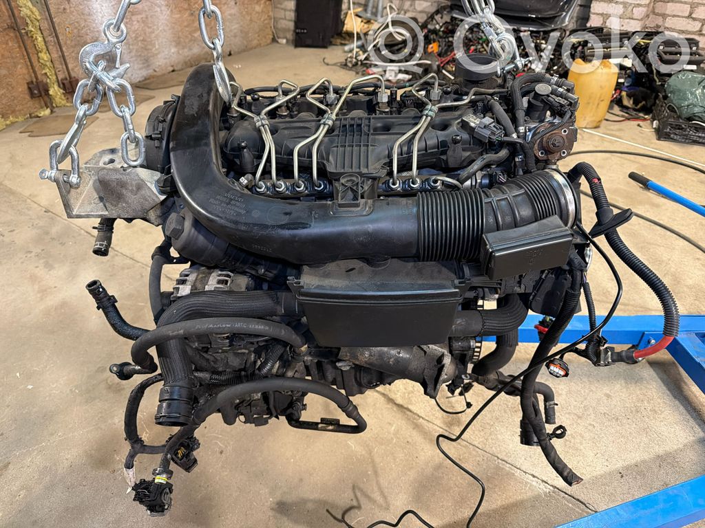 Variklis   D5244T14,30777365