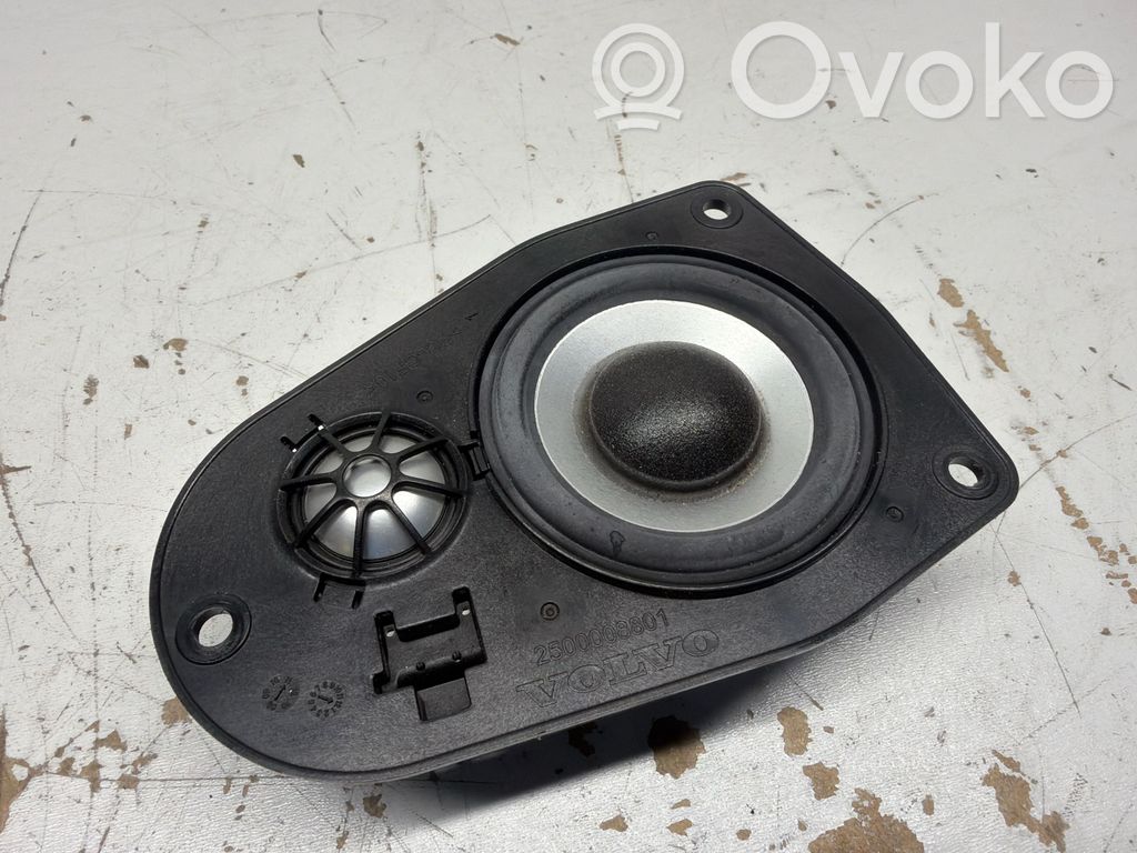 Panel speaker   31252157,23008703