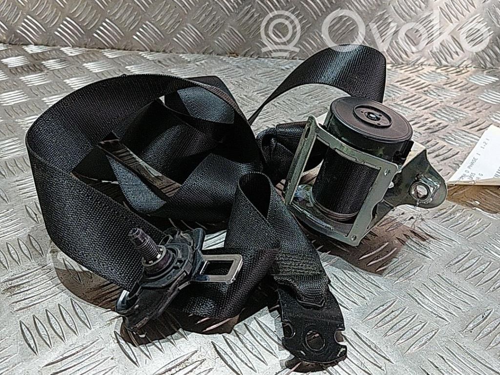 Cinturón trasero   13251319