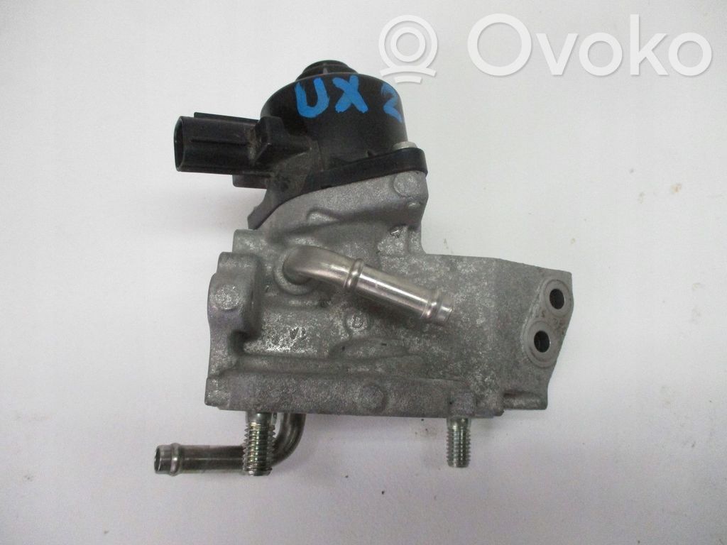 Válvula EGR   2562024050
