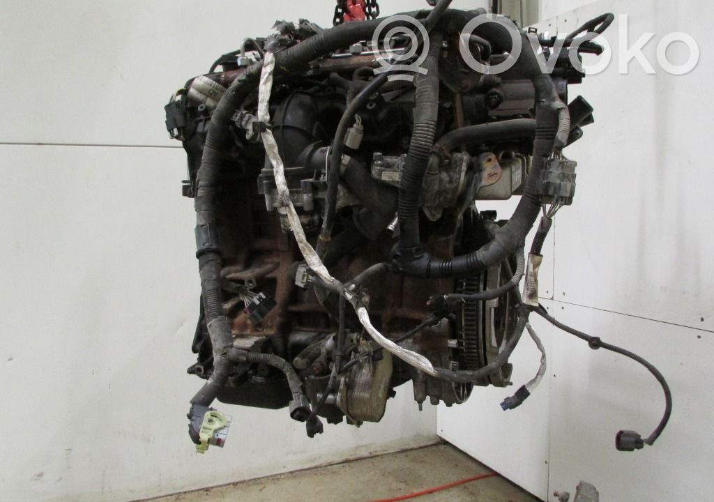 Motor   RMBK2Q6006AB,DRFB,2096230