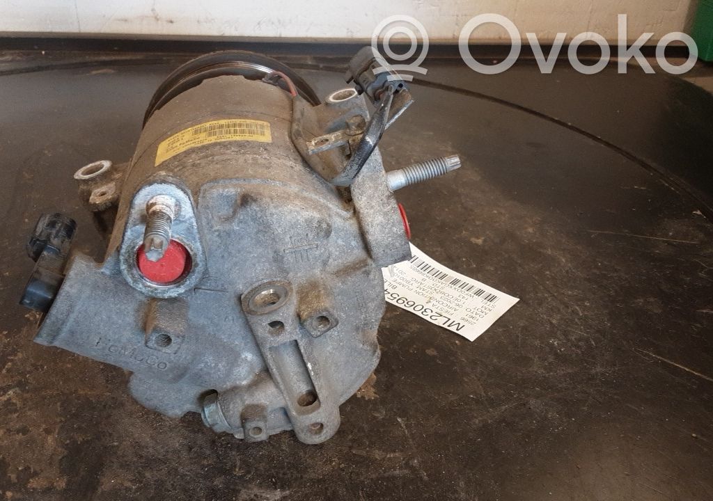 Klimakompressor Pumpe   1923318