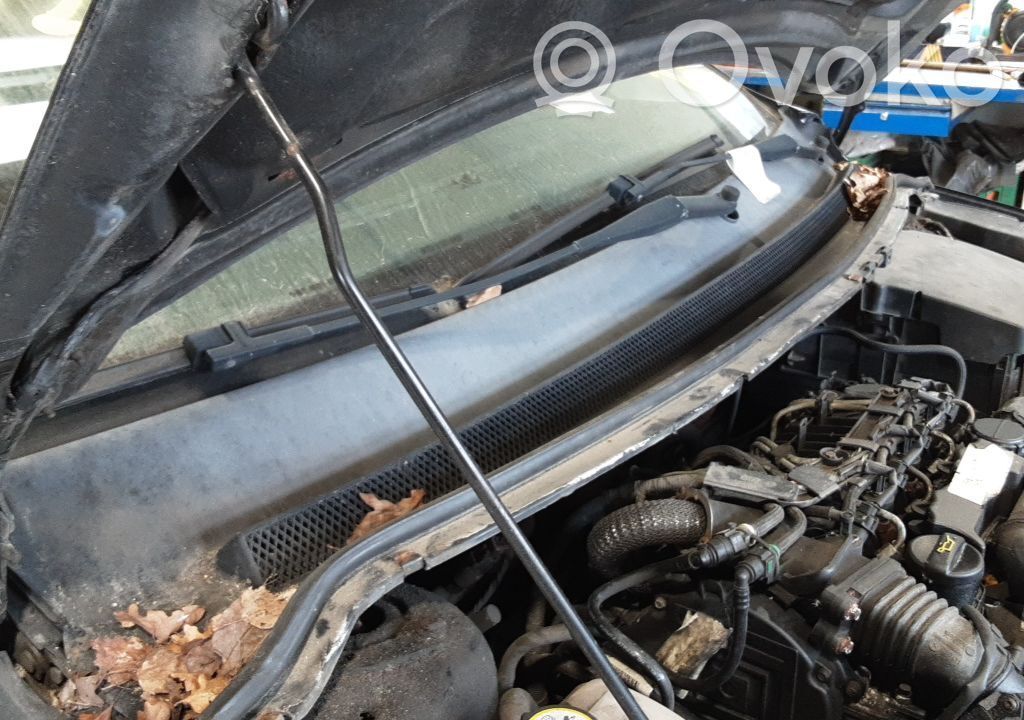 Ford Focus Wiper trim 