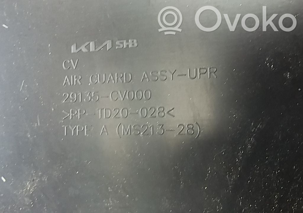KIA EV6 Luftansaugkanal-Teil 