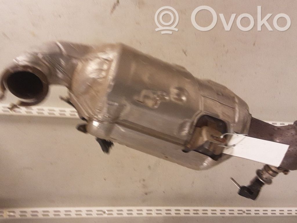 Catalyst/FAP/DPF particulate filter   9823467180