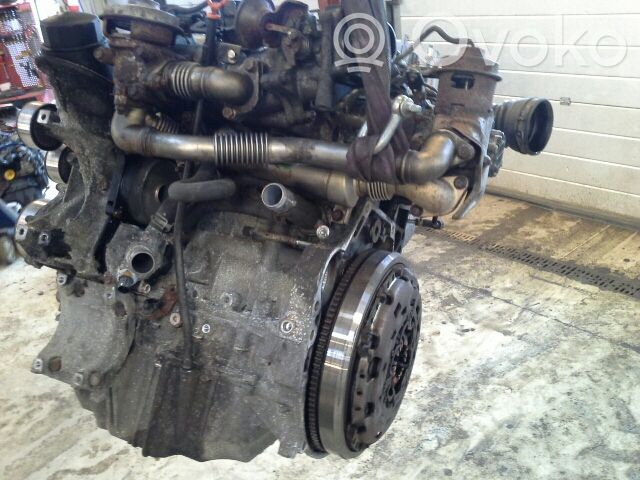 Motor