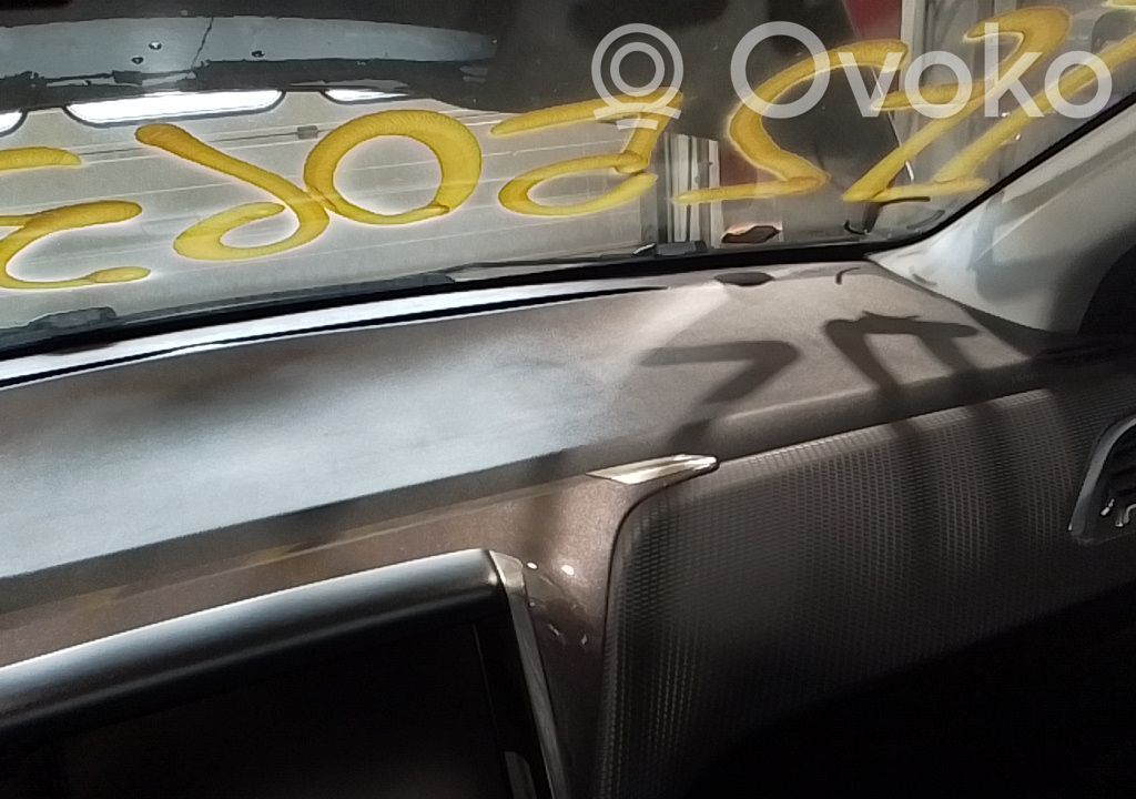 Panelė   1607281280