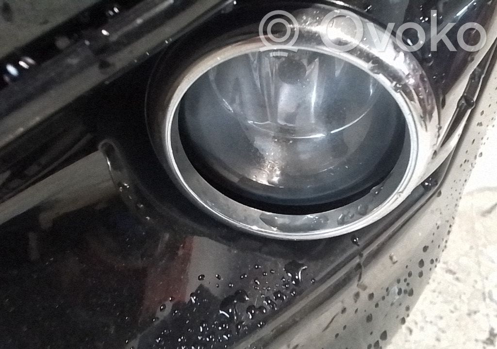 Front fog light   4550597