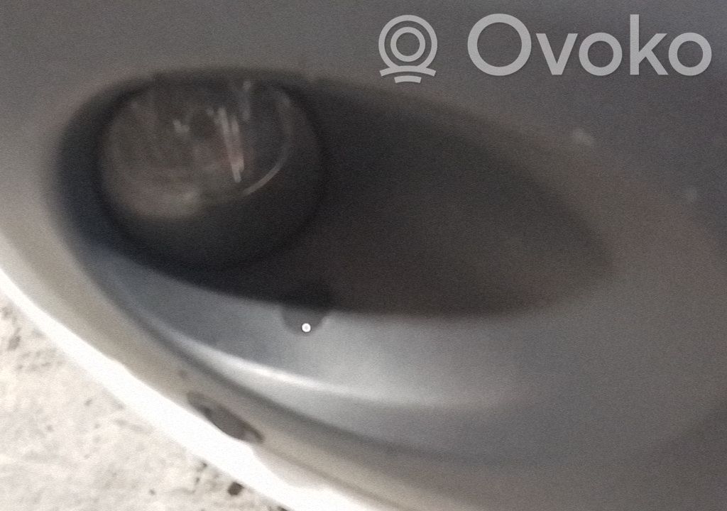 Front fog light   4550597