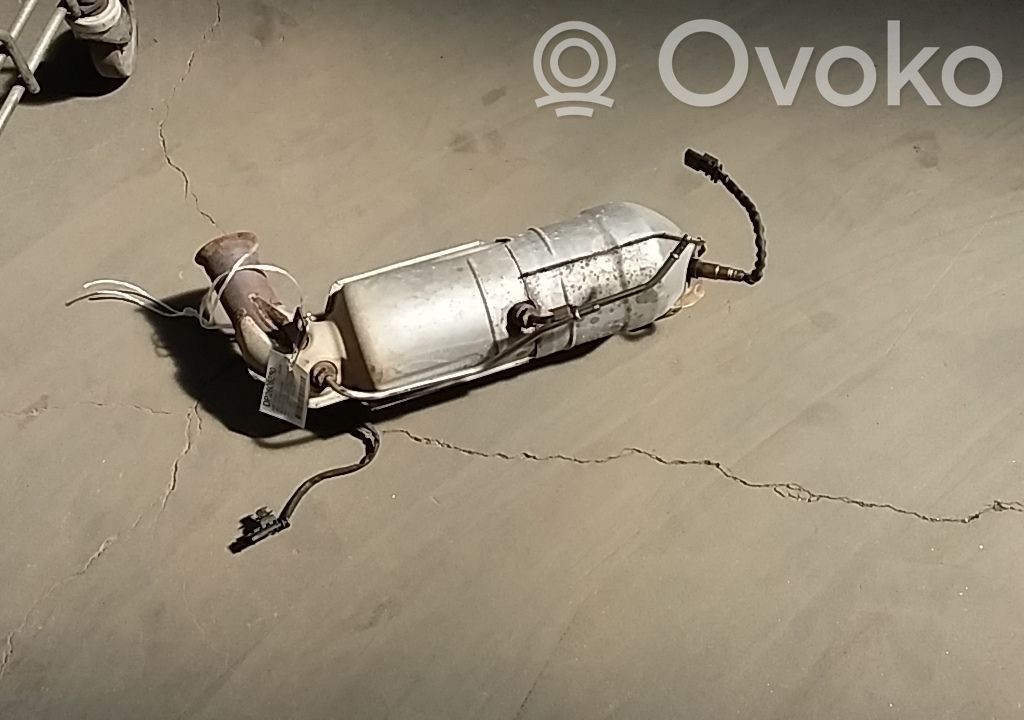 Citroen C3 Filtru de particule catalizator/FAP/DPF 
