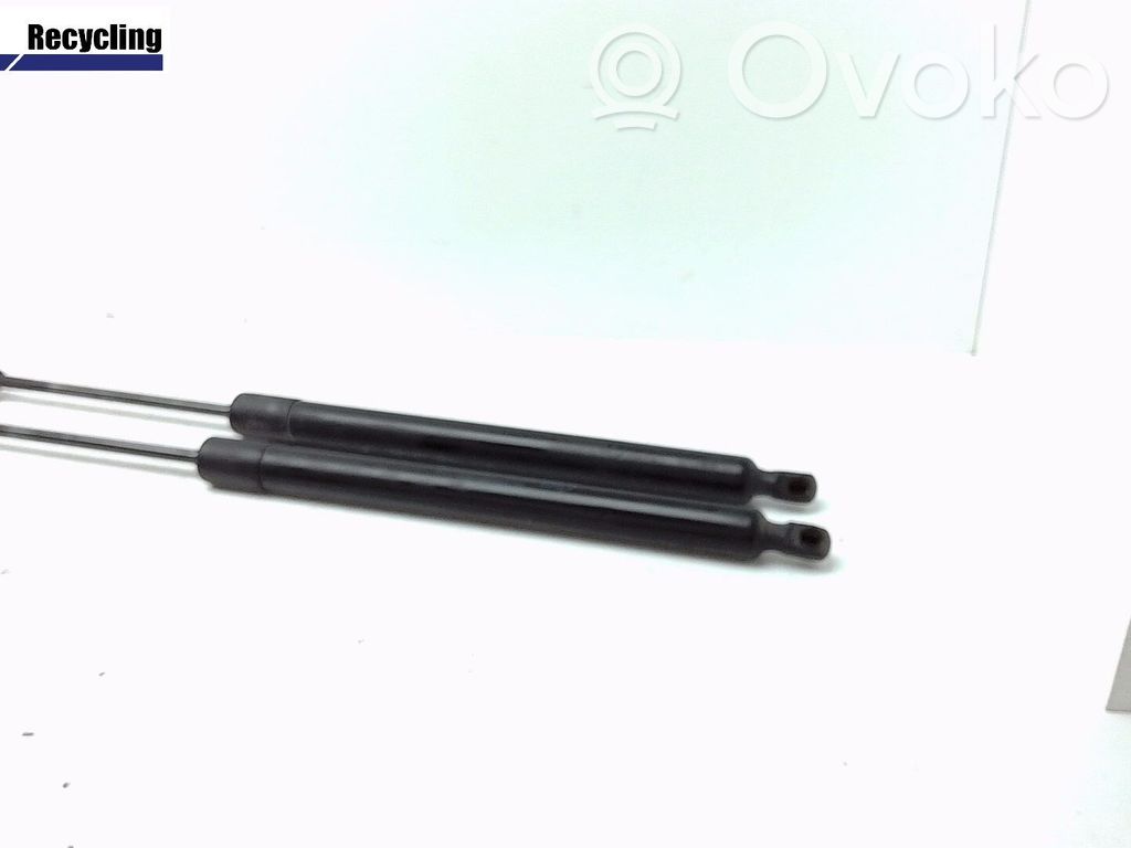 Tailgate/trunk strut/damper   1683644,1681490