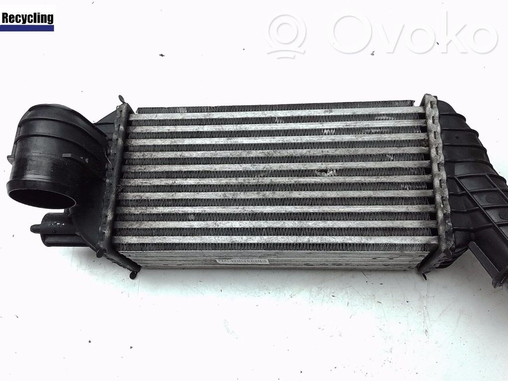 Citroen C4 I Picasso Intercooler hose/pipe 