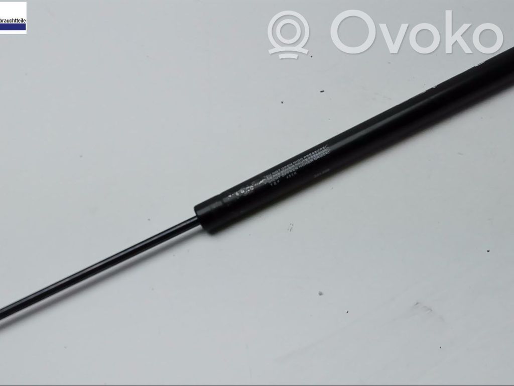 Rear window strut damper
